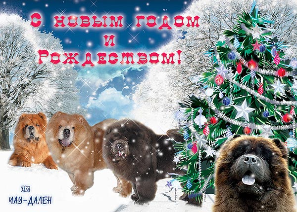 С Новым Годом!