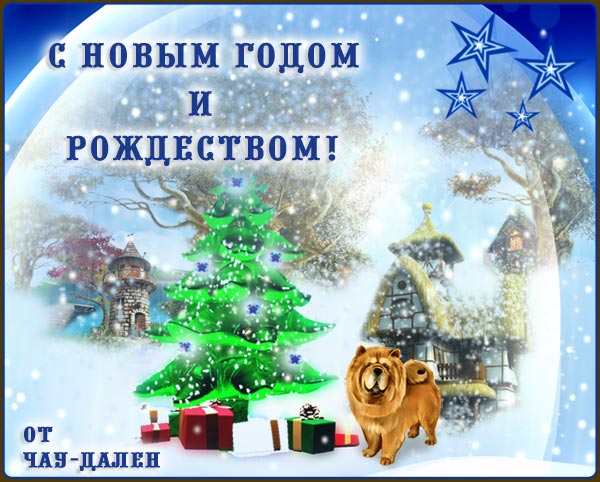 С новым годом!